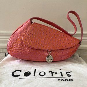 NWT Coloris Paris Asymmetrical Purse